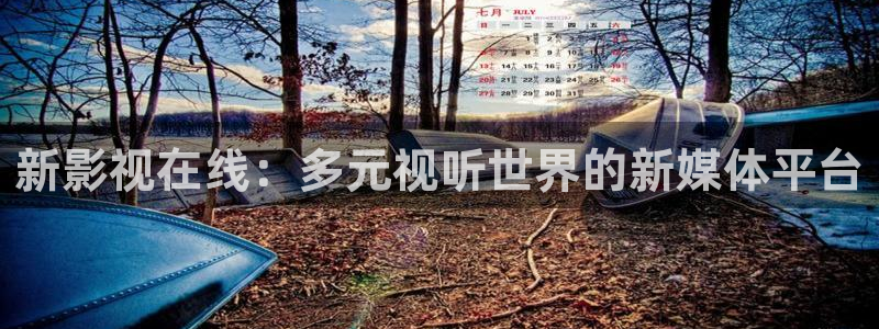 天狼在线电影：新影视在线：多元视听世界的新媒体平台