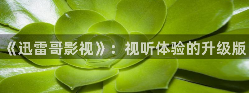天狼影院免费