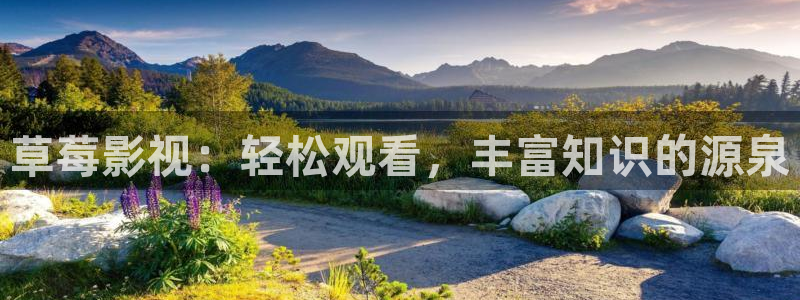 天狼午夜电影