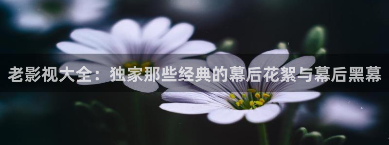 天狼电影在线看免费观看
