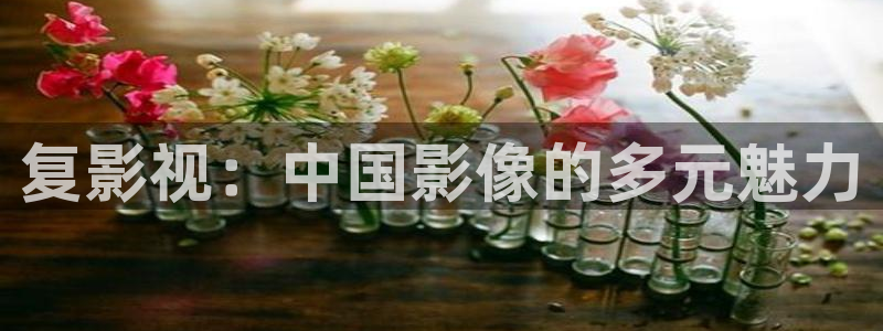 天狼电影网